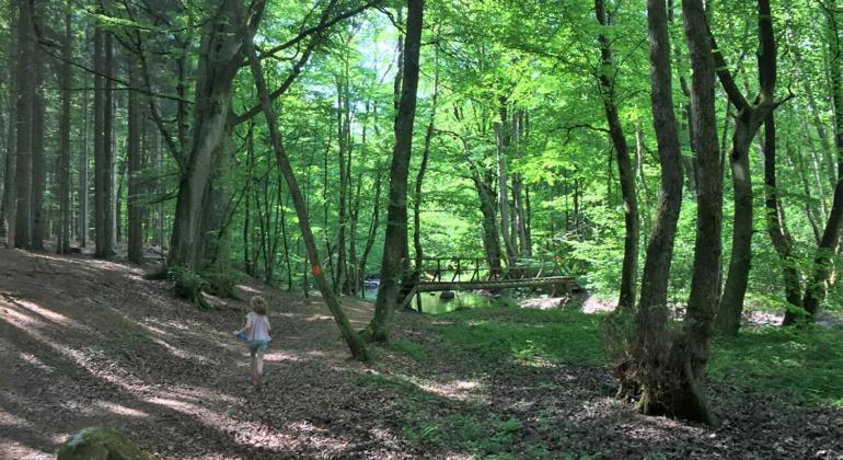 Gaesthus I Naturskoent Laege Genarp Exterior foto