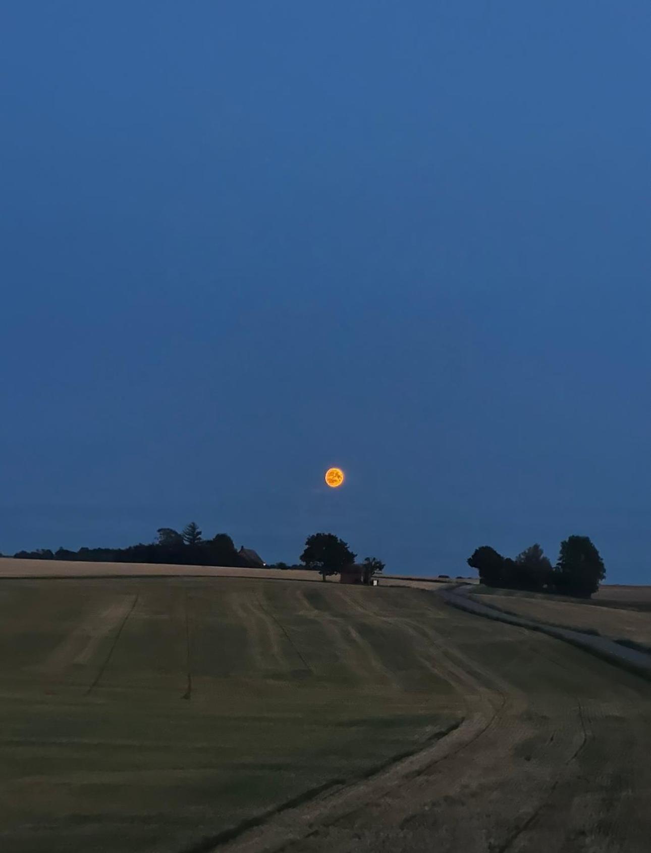 Gaesthus I Naturskoent Laege Genarp Exterior foto